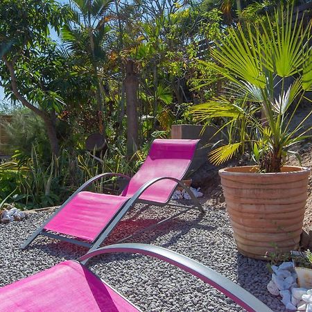 La Conque Du Trou D'Eau Apartment Saint-Gilles-les Bains Ngoại thất bức ảnh